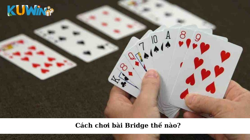 Cách chơi bài Bridge thế nào?