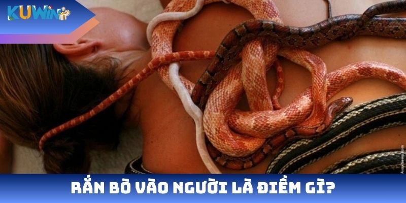 Rắn bò vào người là điềm gì?